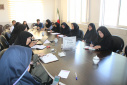 برگزاری جلسه مجازی اجرای برنامه پیشگیری وکنترل سرطان دهانه رحم