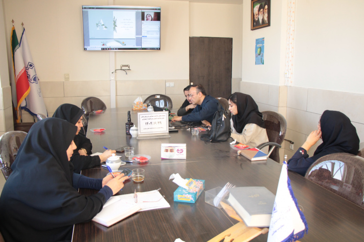 وبینار علمی سلامت شنوایی با محوریت غربالگری شنوایی نوزادان برگزار شد